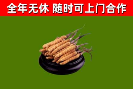 中阳县烟酒回收冬虫夏草.jpg
